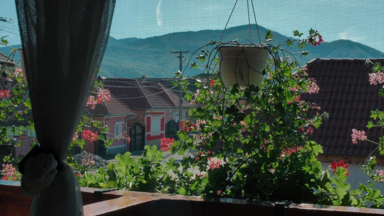Agropensiunea Casa Nica Margineni  Dış mekan fotoğraf