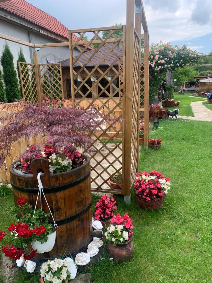 Agropensiunea Casa Nica Margineni  Dış mekan fotoğraf