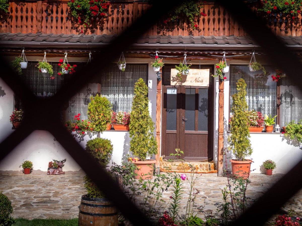 Agropensiunea Casa Nica Margineni  Dış mekan fotoğraf