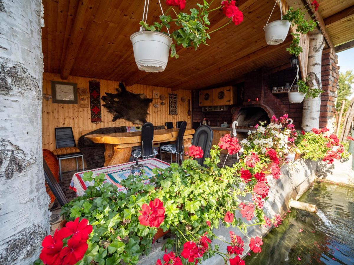 Agropensiunea Casa Nica Margineni  Dış mekan fotoğraf