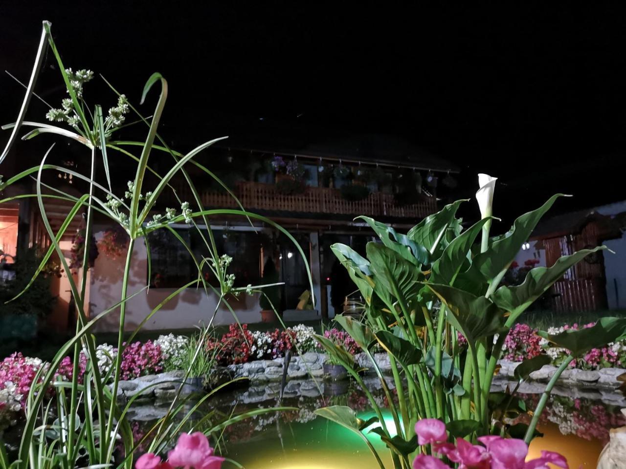 Agropensiunea Casa Nica Margineni  Dış mekan fotoğraf